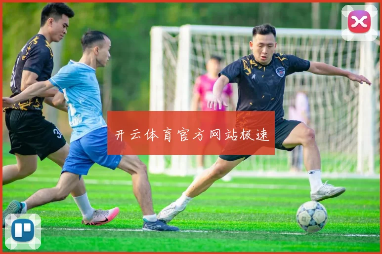 开云体育官方网站极速