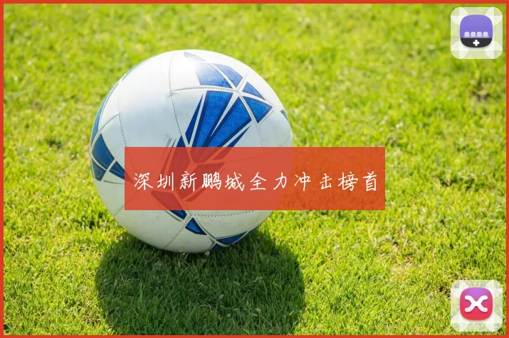 深圳新鹏城全力冲击榜首