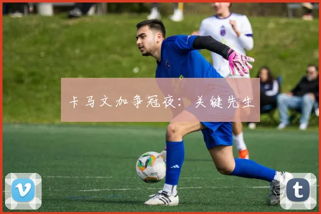 卡马文加争冠夜:关键先生