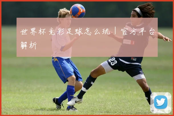 世界杯竞彩足球怎么玩｜官方平台解析